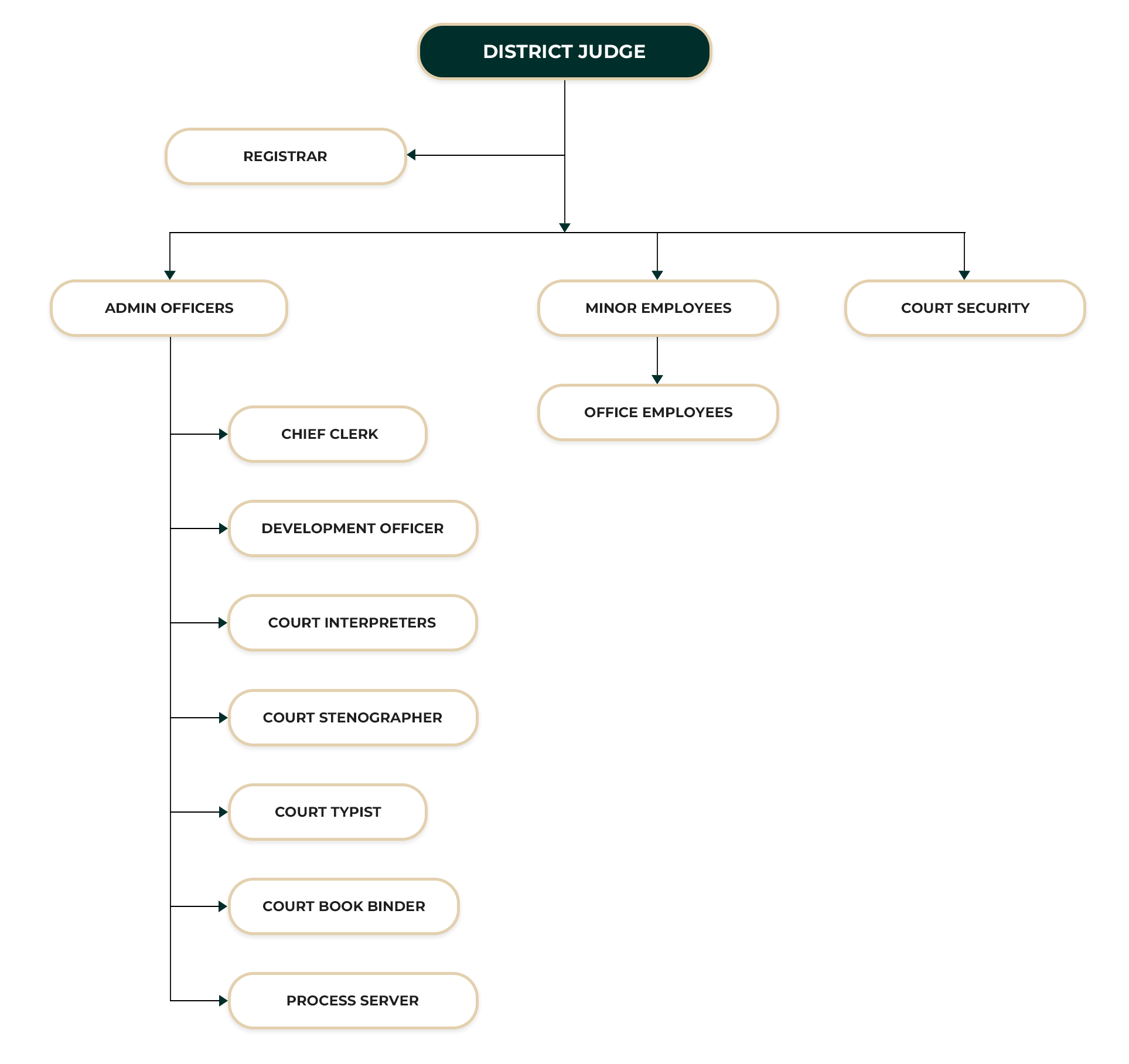 District Court Valaichenai ORGANIZATIONAL STRUCTURE